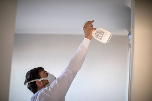 Best Attic Mold Removal  in Crystal Lawns, IL